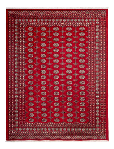 ブハラ 絨毯 247x318cm - オリエンタル絨毯