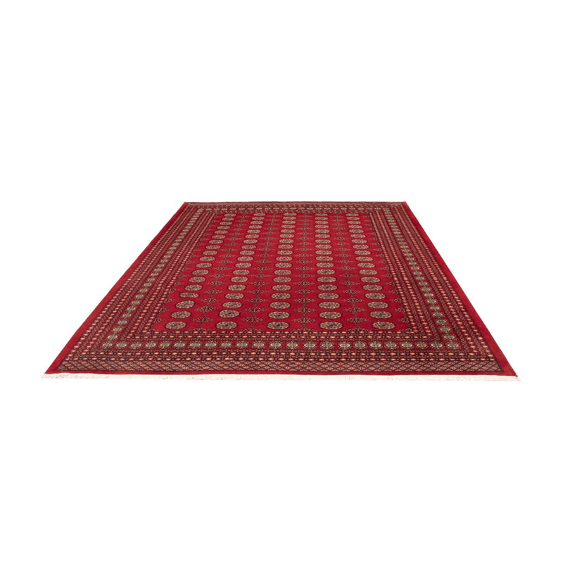 ブハラ 絨毯 318x247cm - オリエンタル絨毯