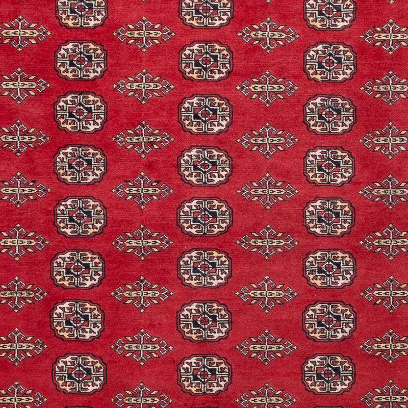 ブハラ 絨毯 315x248cm - オリエンタル絨毯