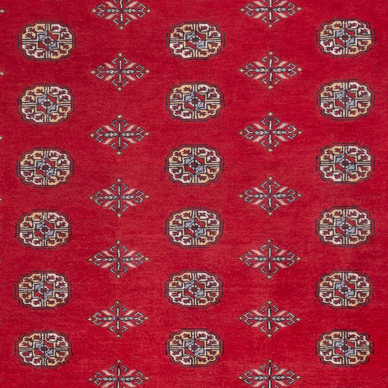 ブハラ 絨毯 307x202cm - オリエンタル絨毯