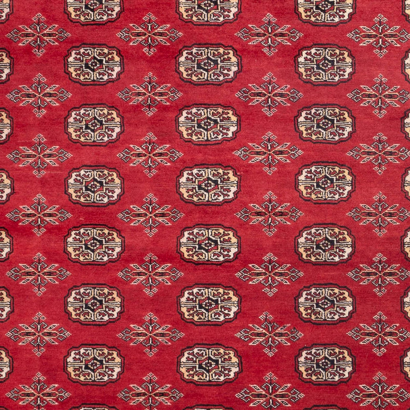 ブハラ 絨毯 297x220cm - オリエンタル絨毯