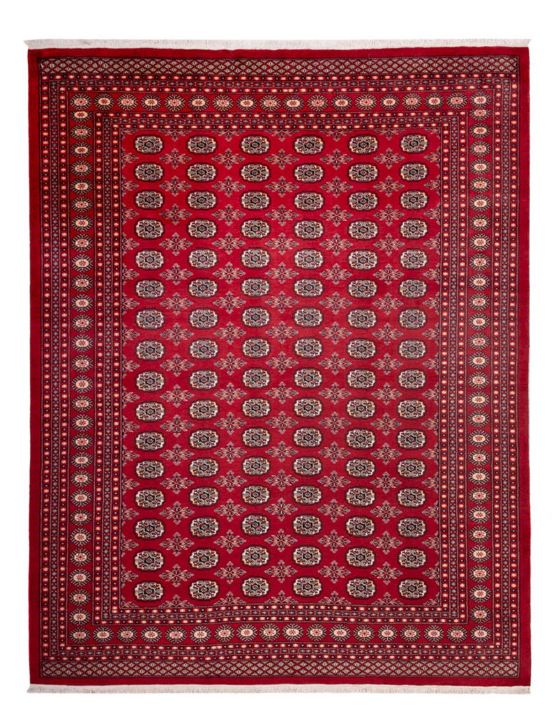 ブハラ 絨毯 322x248cm - オリエンタル絨毯