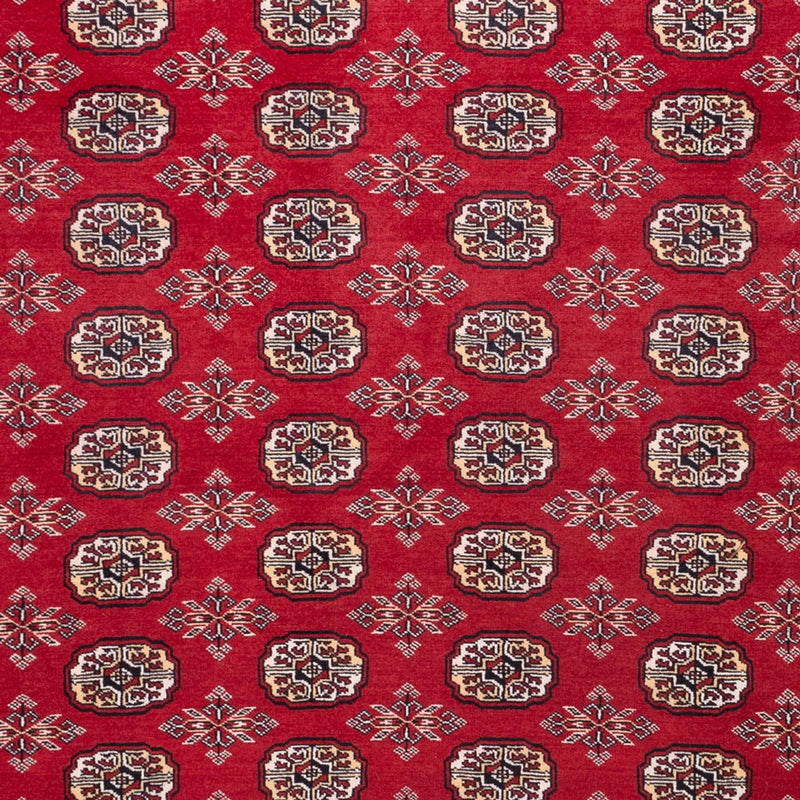 ブハラ 絨毯 322x248cm - オリエンタル絨毯