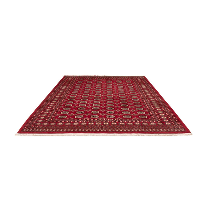 ブハラ 絨毯 322x248cm - オリエンタル絨毯