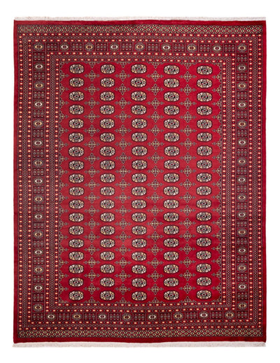 ブハラ 絨毯 245x312cm - オリエンタル絨毯
