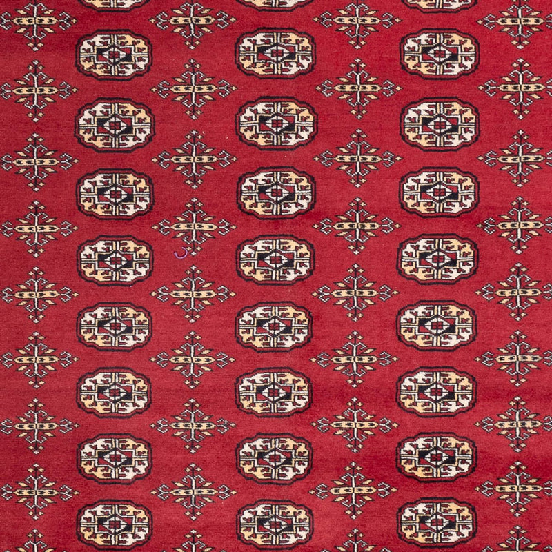 ブハラ 絨毯 312x245cm - オリエンタル絨毯