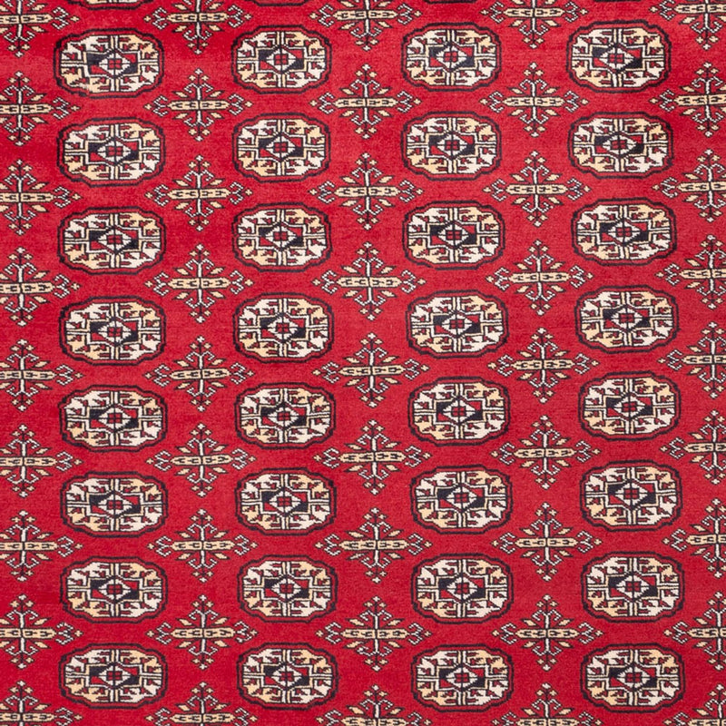 ブハラ 絨毯 311x243cm - オリエンタル絨毯