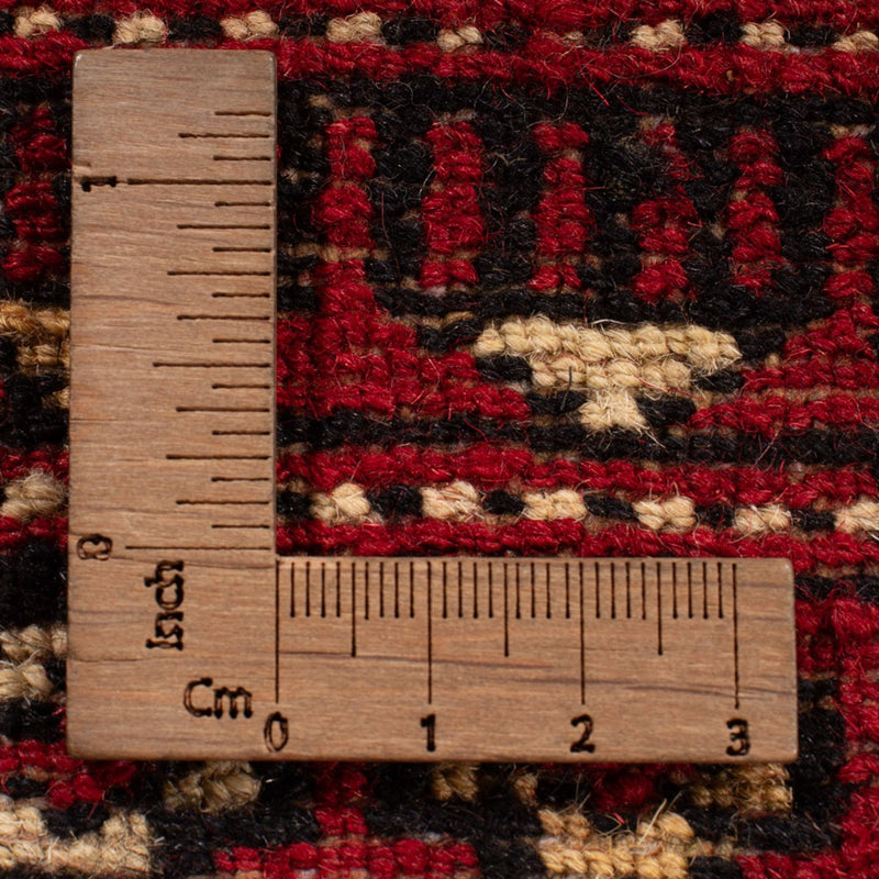 ブハラ 絨毯 311x243cm - オリエンタル絨毯