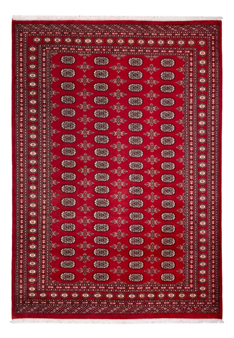 ブハラ 絨毯 297x213cm - オリエンタル絨毯