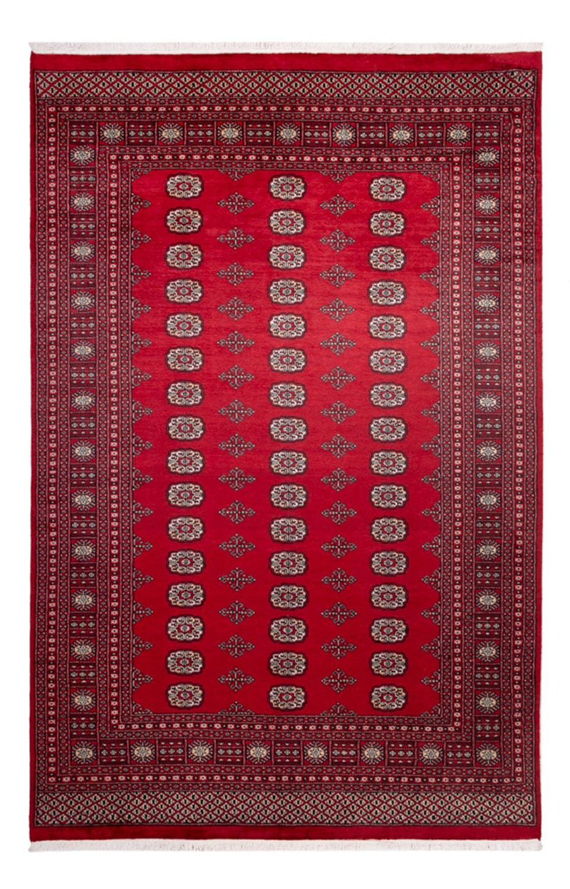 ブハラ 絨毯 306x197cm - オリエンタル絨毯