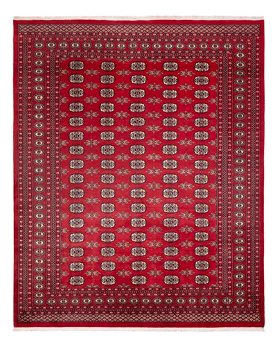 ブハラ 絨毯 247x307cm - オリエンタル絨毯