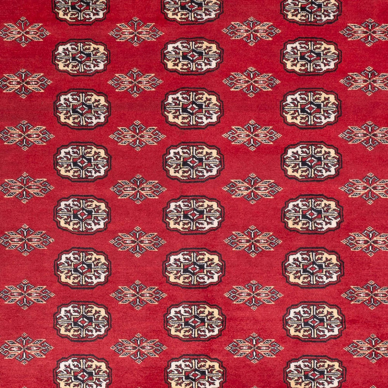 ブハラ 絨毯 307x247cm - オリエンタル絨毯