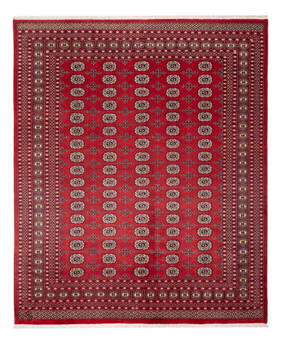 ブハラ 絨毯 243x298cm - オリエンタル絨毯