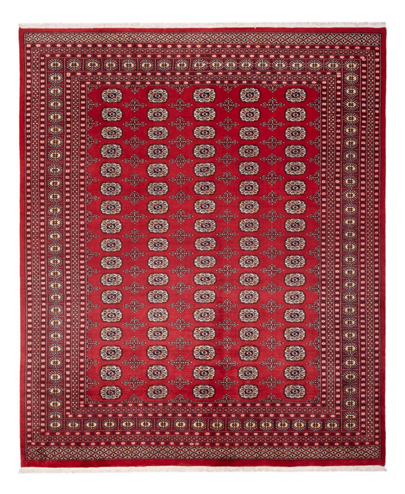 ブハラ 絨毯 298x243cm - オリエンタル絨毯