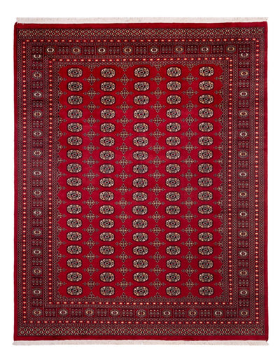 ブハラ 絨毯 243x308cm - オリエンタル絨毯