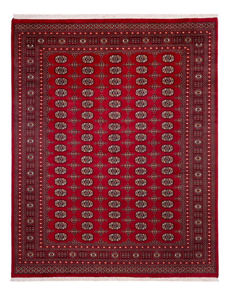 ブハラ 絨毯 308x243cm - オリエンタル絨毯