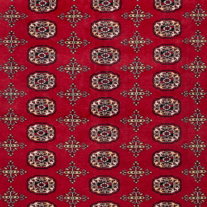 ブハラ 絨毯 308x243cm - オリエンタル絨毯