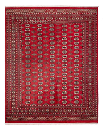 ブハラ 絨毯 244x312cm - オリエンタル絨毯