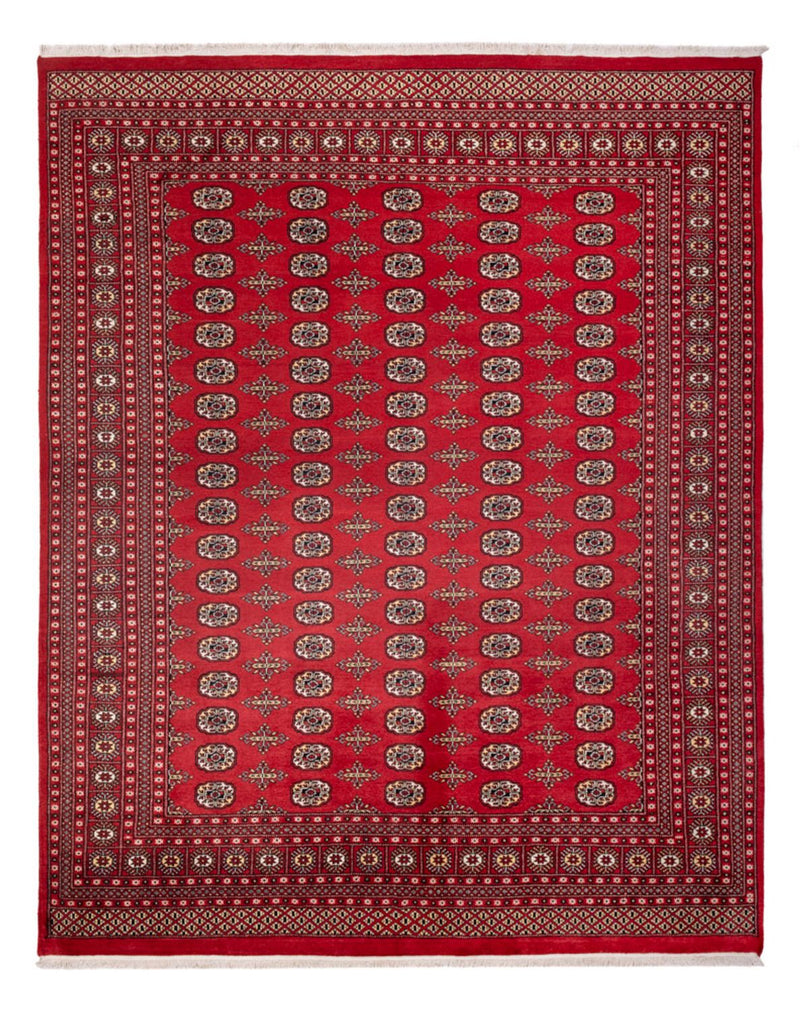 ブハラ 絨毯 312x244cm - オリエンタル絨毯
