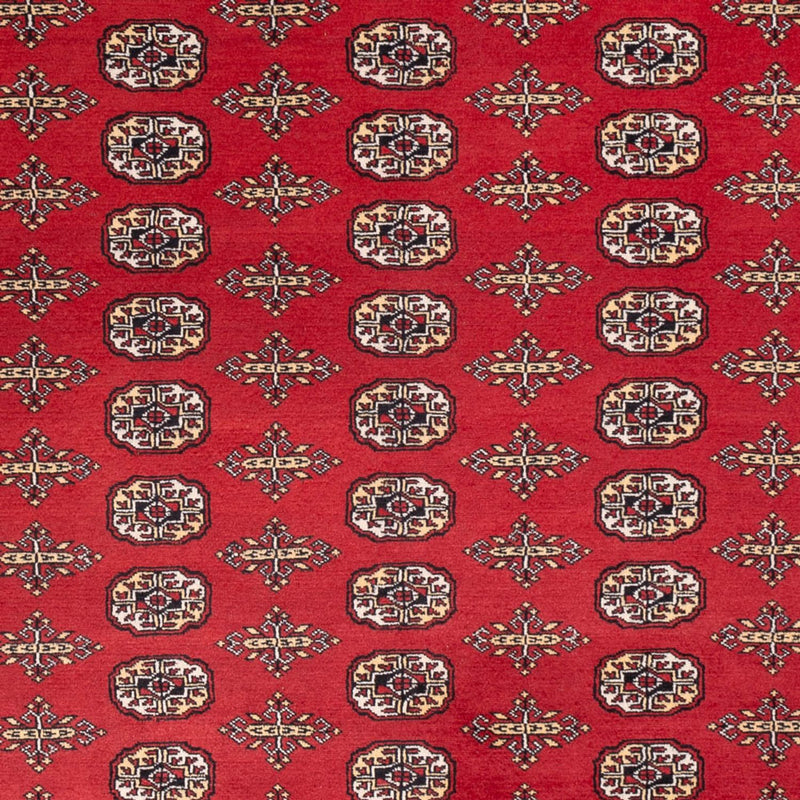 ブハラ 絨毯 312x244cm - オリエンタル絨毯