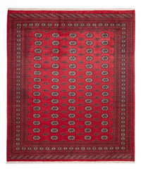 ブハラ 絨毯 305x246cm - オリエンタル絨毯 – product image