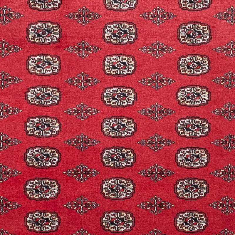 ブハラ 絨毯 305x246cm - オリエンタル絨毯