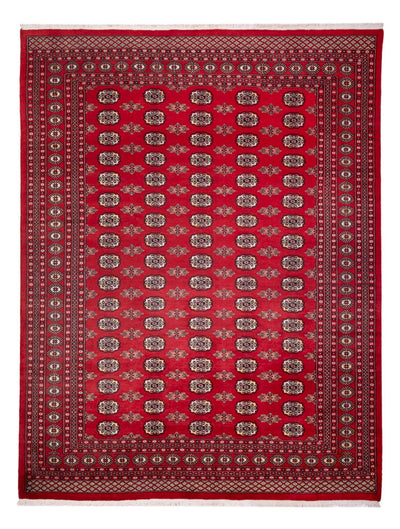 ブハラ 絨毯 243x314cm - オリエンタル絨毯
