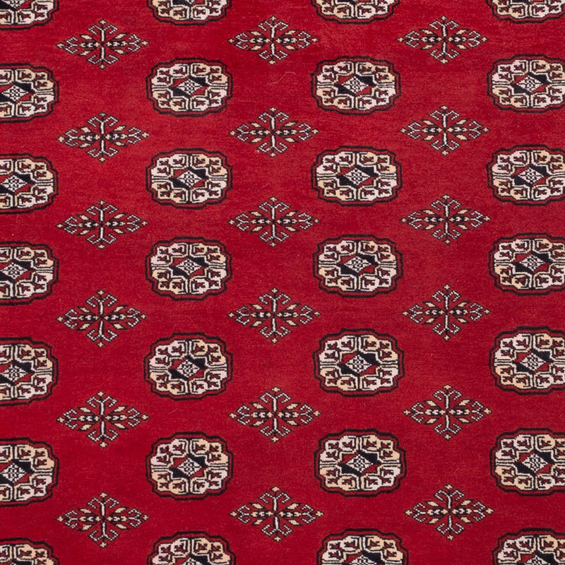 ブハラ 絨毯 290x200cm - オリエンタル絨毯