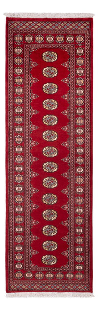 パキスタン絨毯 246x77cm - オリエンタル絨毯 – product image