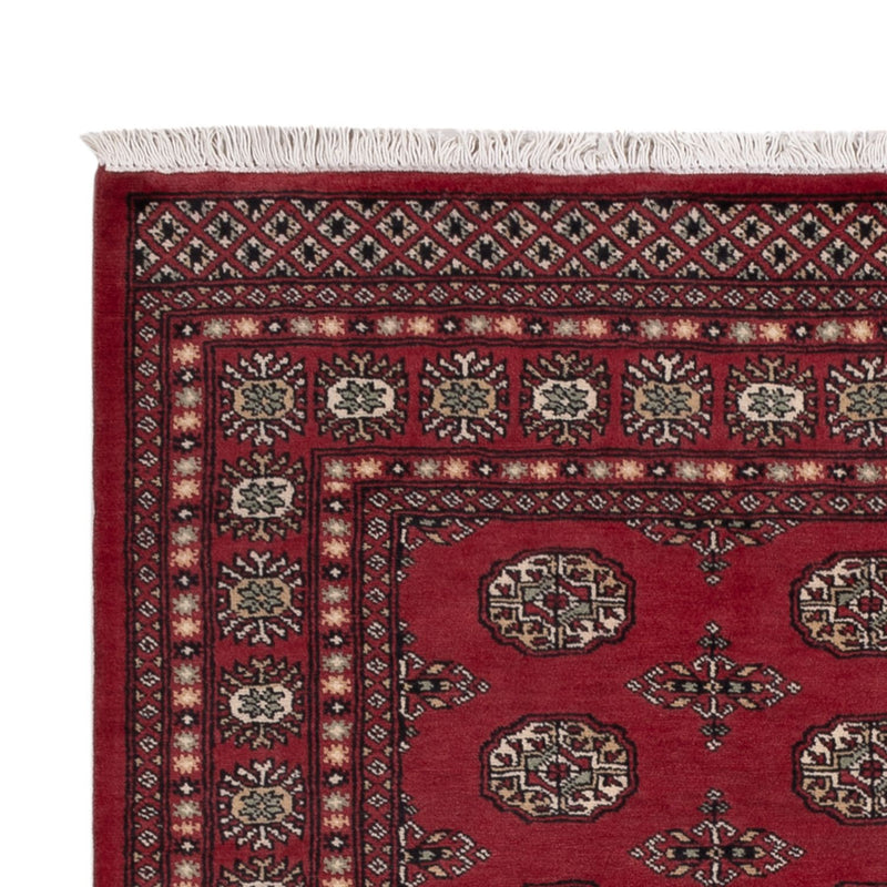 パキスタン絨毯 204x141cm - オリエンタル絨毯