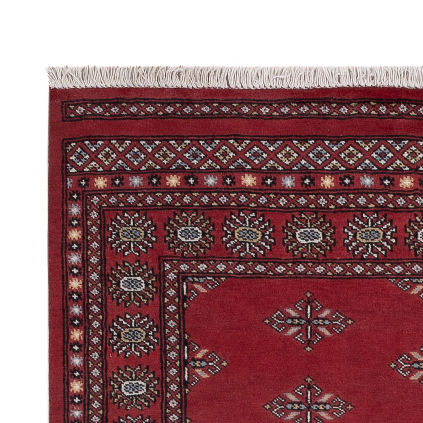 パキスタン絨毯 205x138cm - オリエンタル絨毯