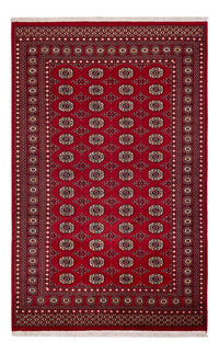 パキスタン絨毯 256x167cm - オリエンタル絨毯 – product image