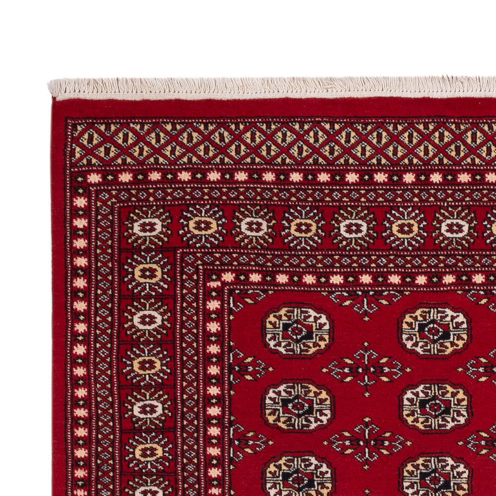 パキスタン絨毯 256x167cm - オリエンタル絨毯