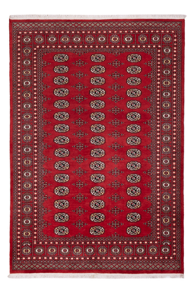 パキスタン絨毯 243x168cm - オリエンタル絨毯