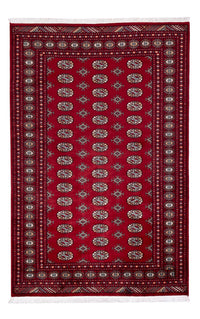 パキスタン絨毯 241x154cm - オリエンタル絨毯 – product image