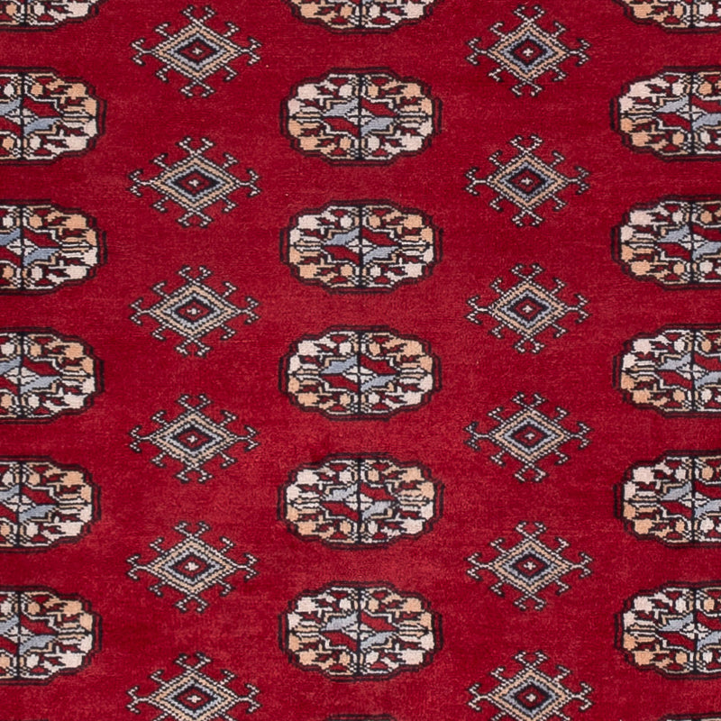 パキスタン絨毯 241x154cm - オリエンタル絨毯