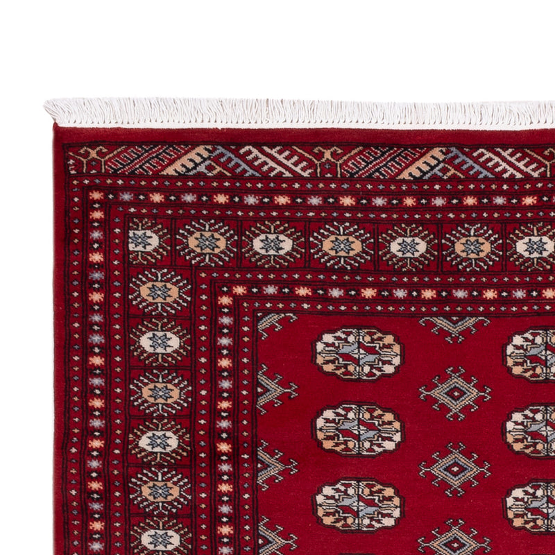 パキスタン絨毯 241x154cm - オリエンタル絨毯