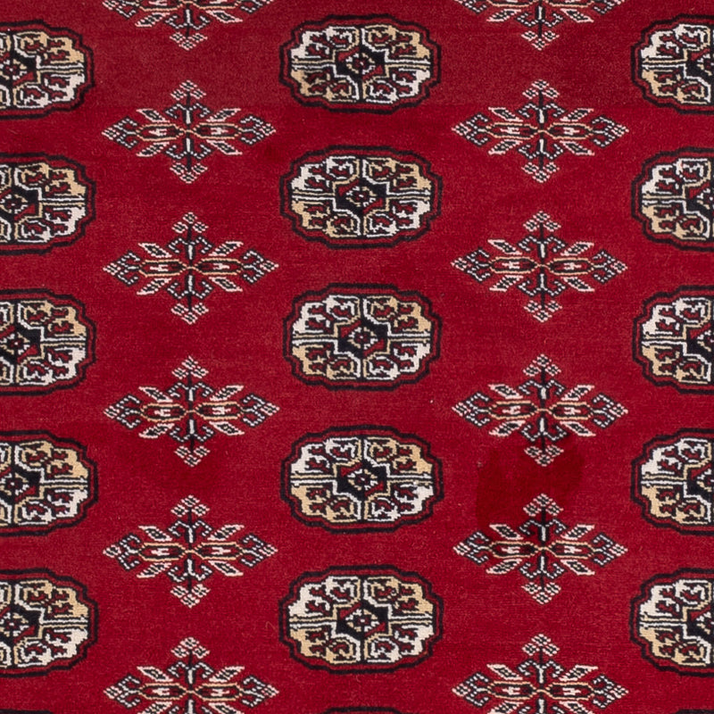 パキスタン絨毯 244x154cm - オリエンタル絨毯