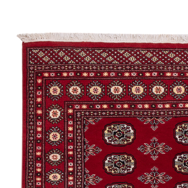 パキスタン絨毯 244x154cm - オリエンタル絨毯