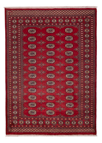 パキスタン絨毯 240x171cm - オリエンタル絨毯 – product image