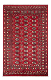 パキスタン絨毯 250x159cm - オリエンタル絨毯 – product image