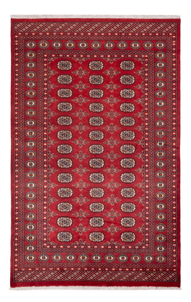 パキスタン絨毯 250x159cm - オリエンタル絨毯