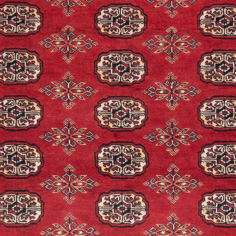 パキスタン絨毯 250x159cm - オリエンタル絨毯
