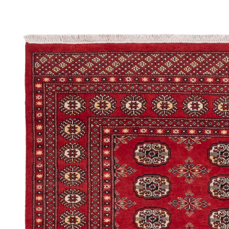 パキスタン絨毯 250x159cm - オリエンタル絨毯