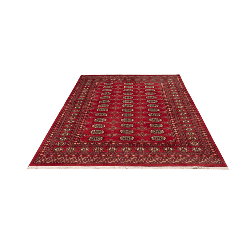 パキスタン絨毯 250x159cm - オリエンタル絨毯