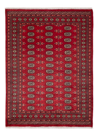 パキスタン絨毯 231x172cm - オリエンタル絨毯 – product image