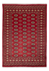 パキスタン絨毯 245x170cm - オリエンタル絨毯 – product image
