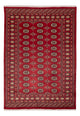 パキスタン絨毯 245x170cm - オリエンタル絨毯