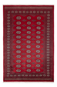 パキスタン絨毯 249x167cm - オリエンタル絨毯 – product image