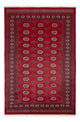 パキスタン絨毯 249x167cm - オリエンタル絨毯